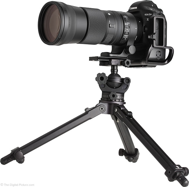 Sigma 150-600mm f/5-6.3 DG OS HSM C Lens Review