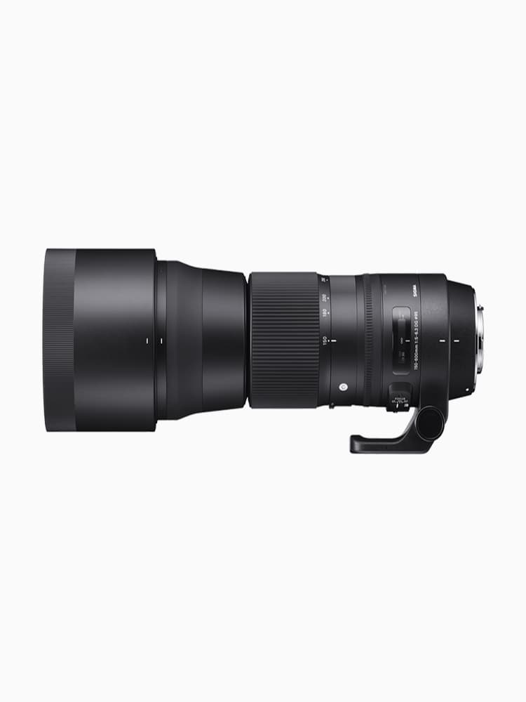 150-600mm F5-6.3 DG OS HSM | Contemporary | Lenses | SIGMA Corporation