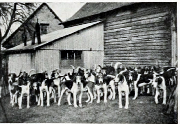 The Thirteenth Hussars in the Great War, by Sir Henry Mortimer 