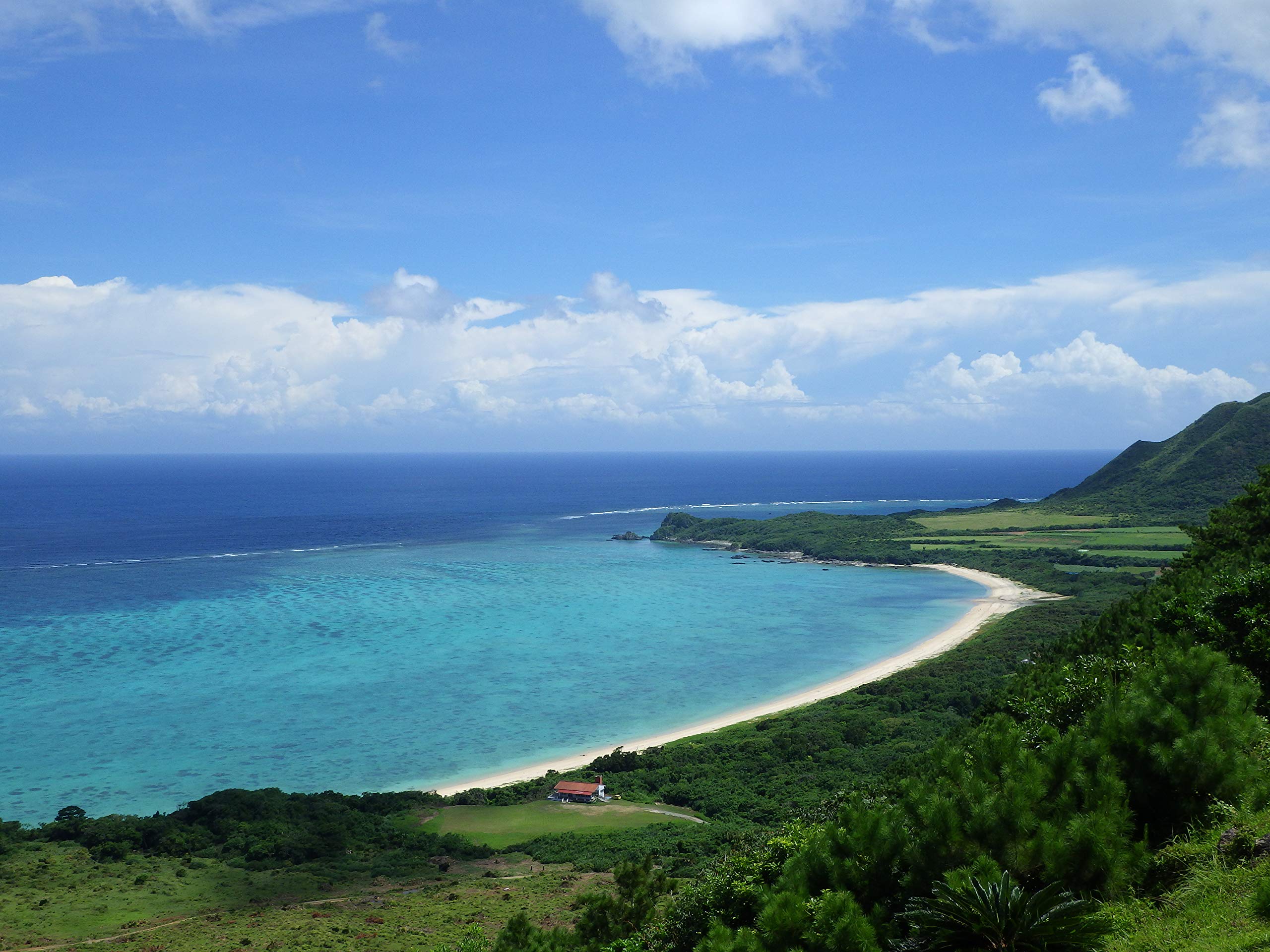 Amazon.com : Ricoh WG-60 Red Waterproof Camera 16MP High 