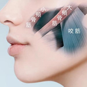 Amazon | YA-MAN(ヤーマン) ウェアラブルEMSマスク メディリフト 美顔 