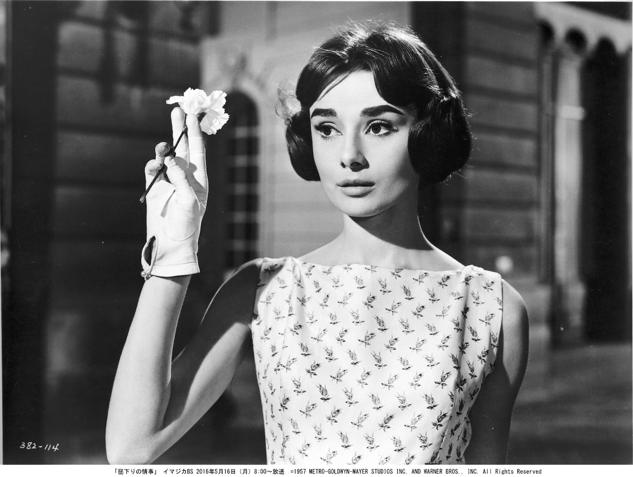 オードリー・ヘプバーンら女優50名の出演作を10週連続オンエア - 映画 