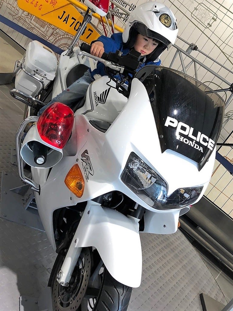 表具完了 鷹図（三幅対） その３ 天龍道人筆 - 夜噺骨董談義