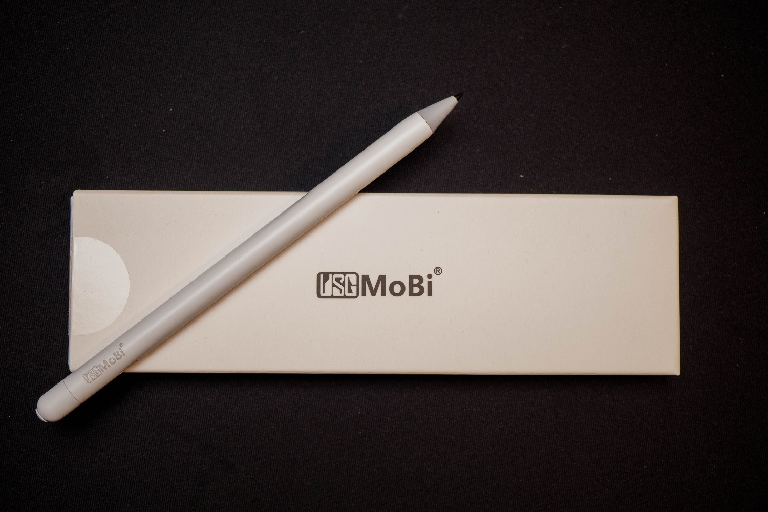 レビュー】Apple Pencil互換ペン USGMoBi SO3ペン もう純正Apple 