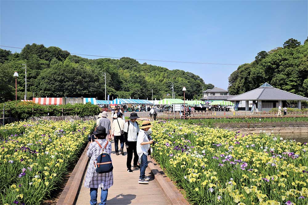 第37回さぬき市長尾ショウブまつり | さぬき市観光ガイド｜一般社団 